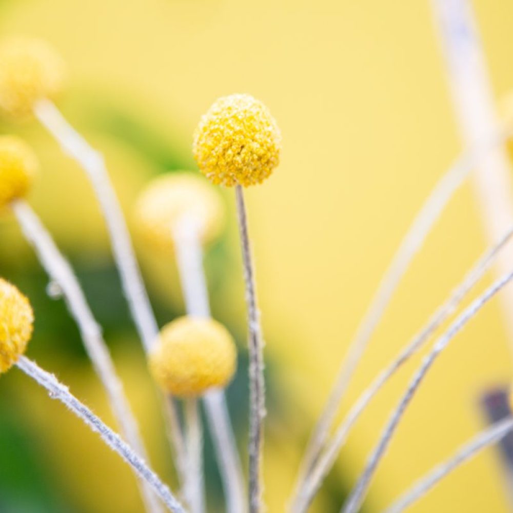 _K8A8215Factorrood_stills